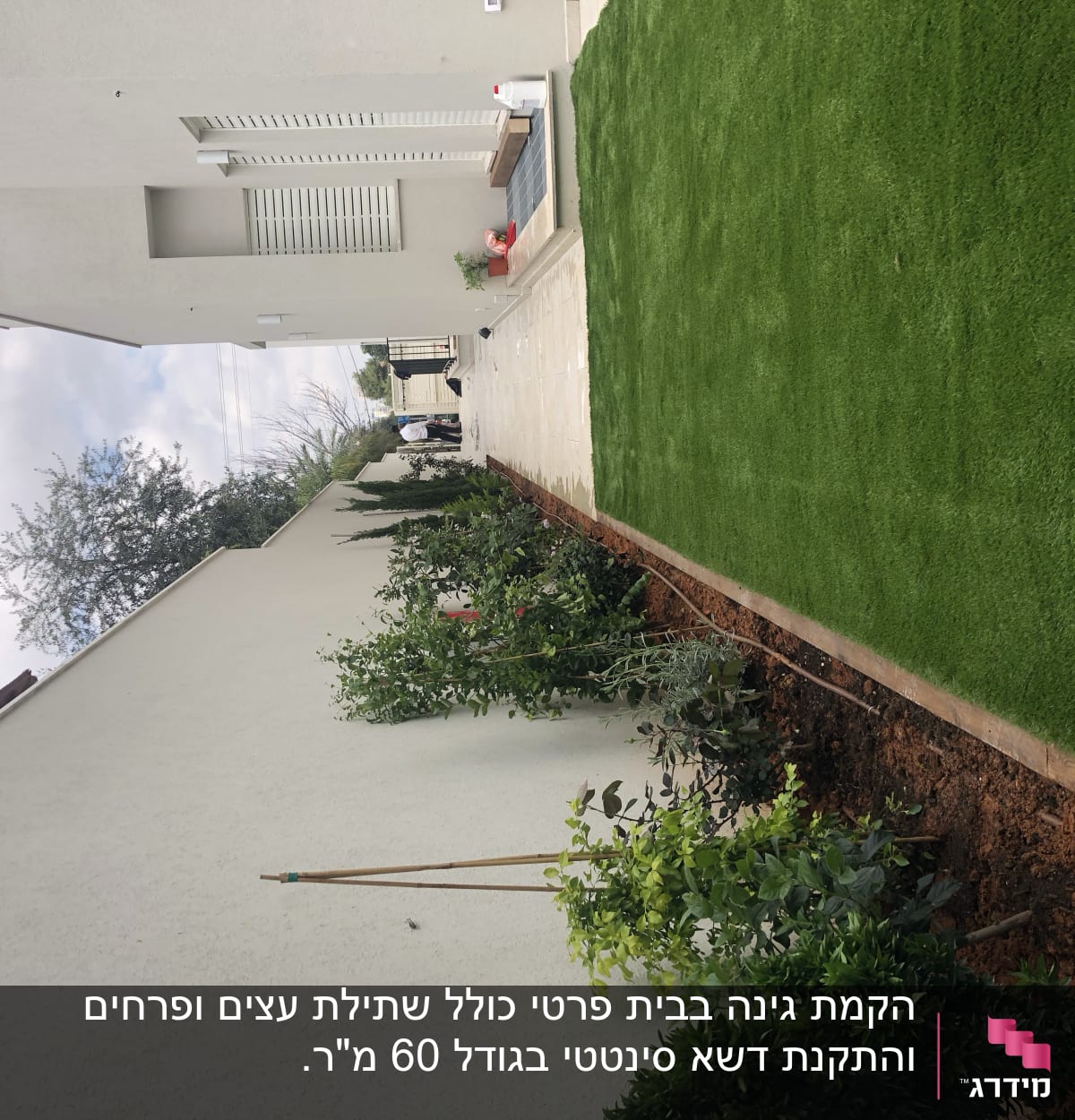 גינה עם דשא ירוק וצמחים בשורה